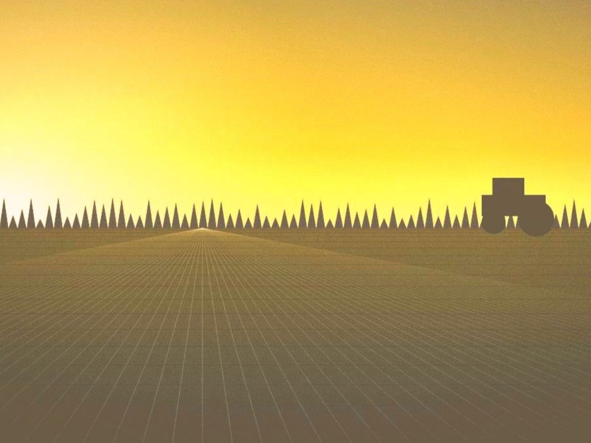 Worked farmland at first light